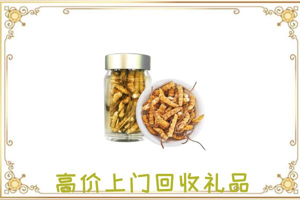 南宁周边回收虫草